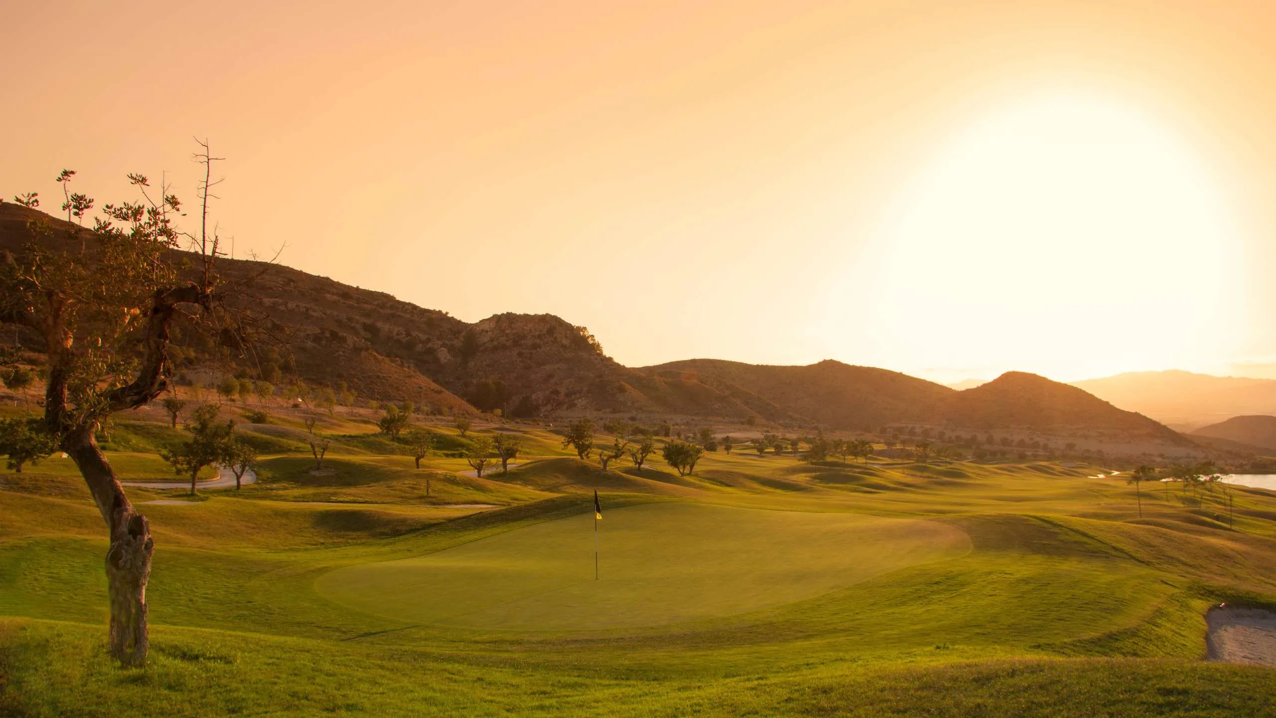 La Finca Golf Course View
