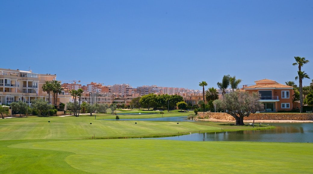 Alicante Golf Course View