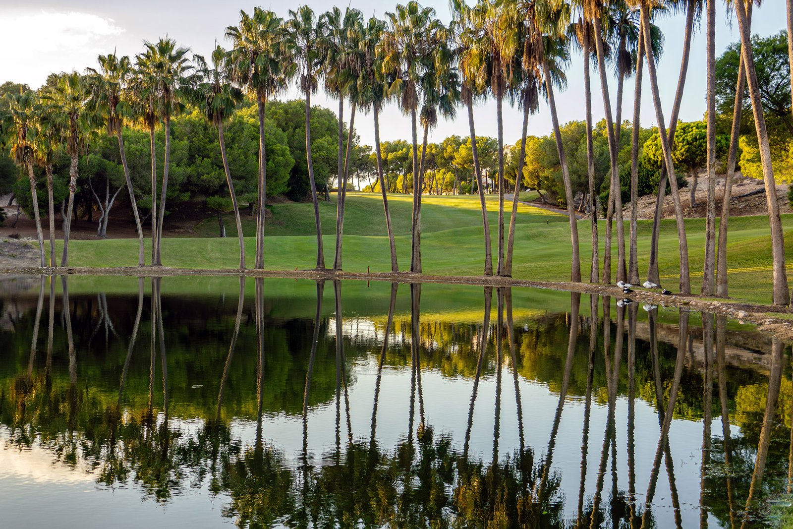 Match Report Las Ramblas 11th December inbetweeners Golf Society